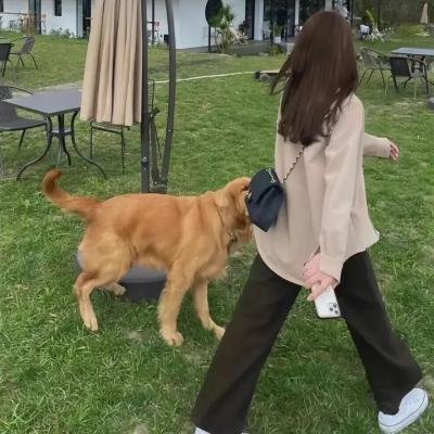 幸福的魔法绘本